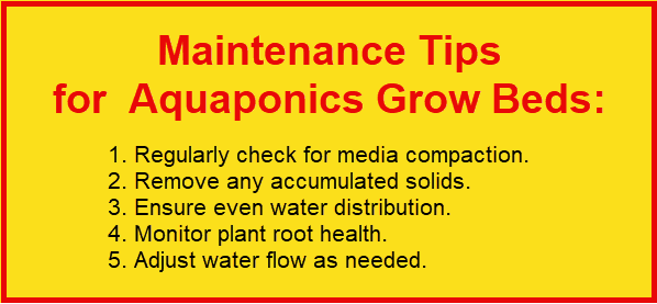 Maintenance Tips for Aquaponics Grow Beds