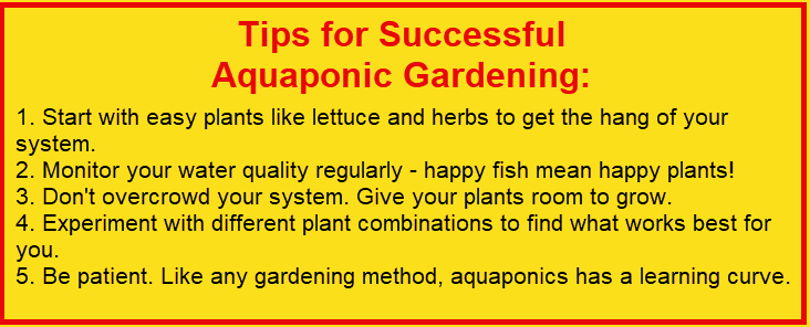 Tips for Successful Aquaponic Gardening