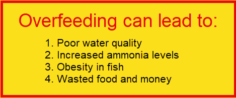 Overfeeding can lead to