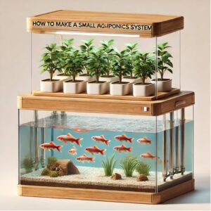 How to Make a Small Aquaponics System