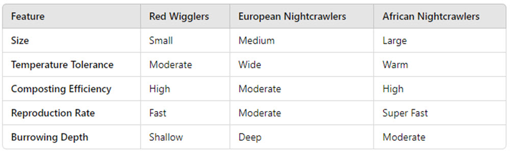 Which Worms to Use For Aquaponics