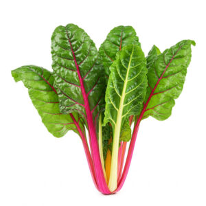 Swiss Chard Aquaponics2